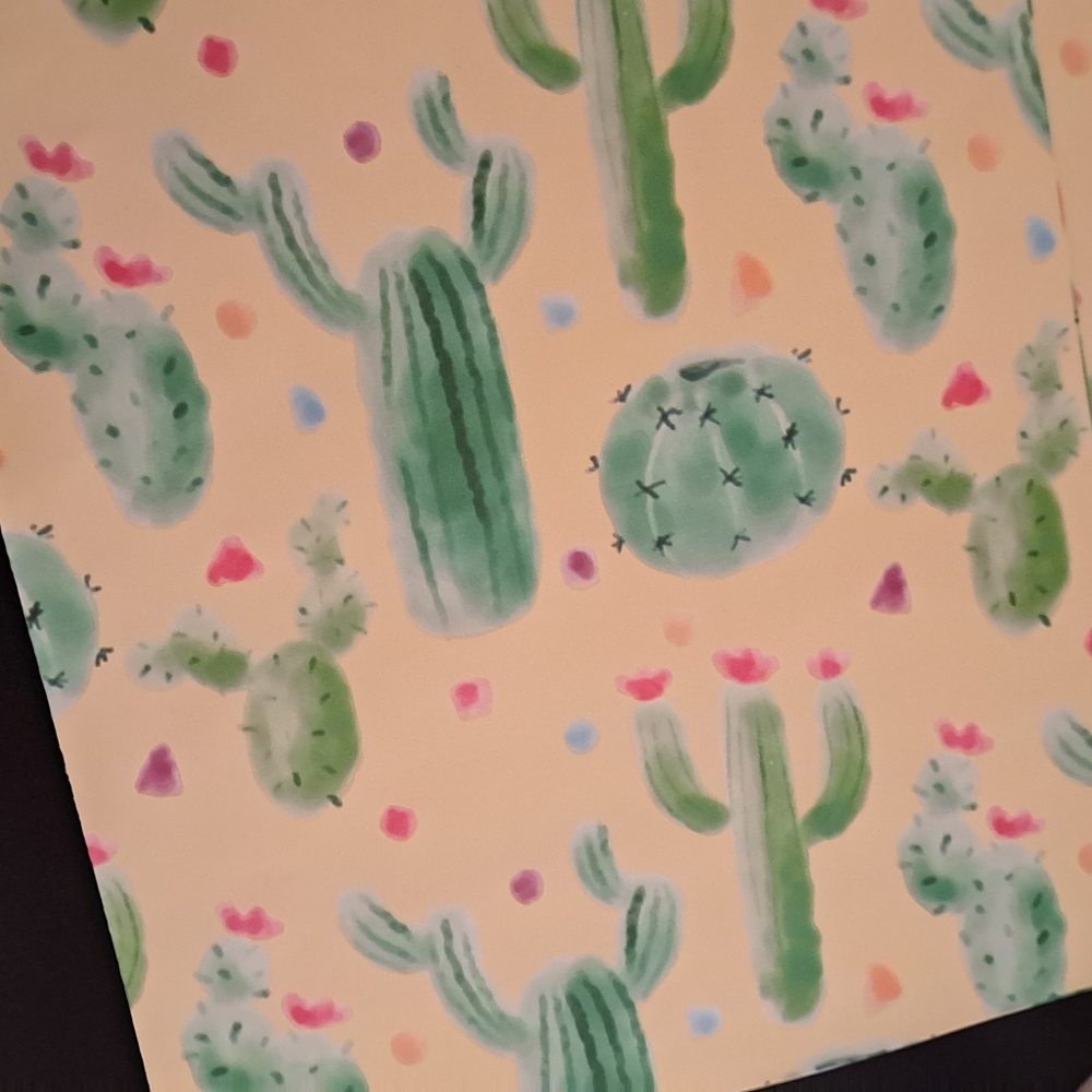 15 ct 10×13 Dessert Cactus polymailers - Picture 2 of 3